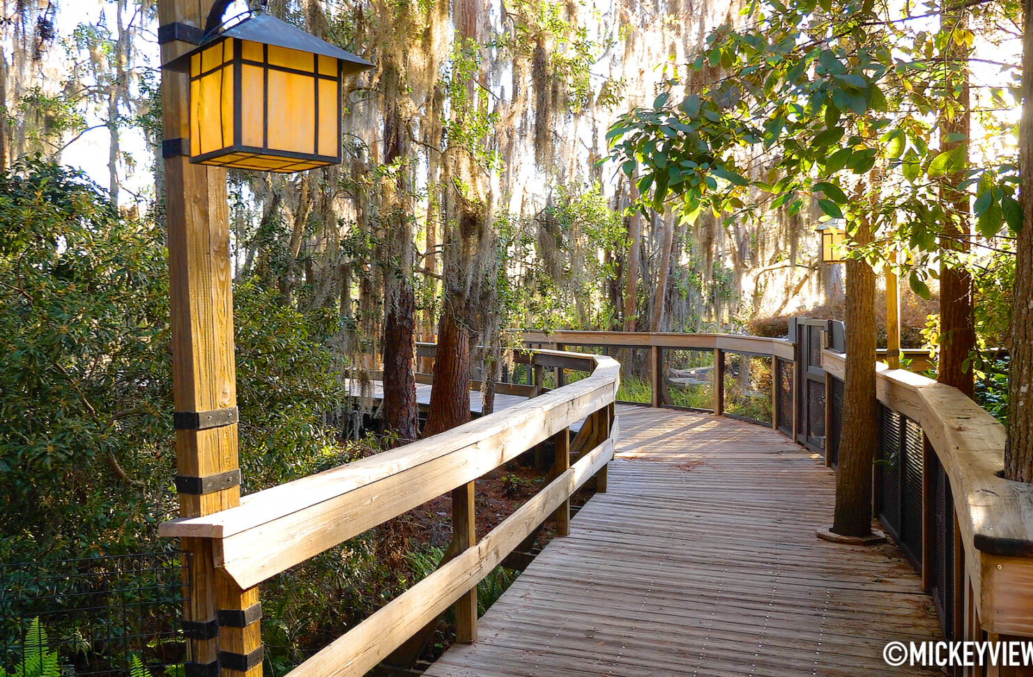 Disney World Closing Select Resorts As Hurricane Milton Approaches