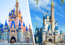 Rose Gold existing Cinderella Castle pictured on left panel of photo montage. Concept art for a more classic color scheme of grays and blues on right panel.