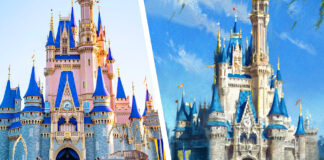 Rose Gold existing Cinderella Castle pictured on left panel of photo montage. Concept art for a more classic color scheme of grays and blues on right panel.